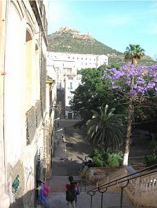 2024 02 09  ORAN - RUE DEGUGIS (8)